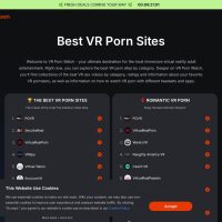 VRpornWatch