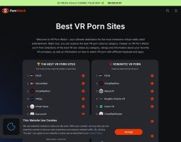 VRpornWatch